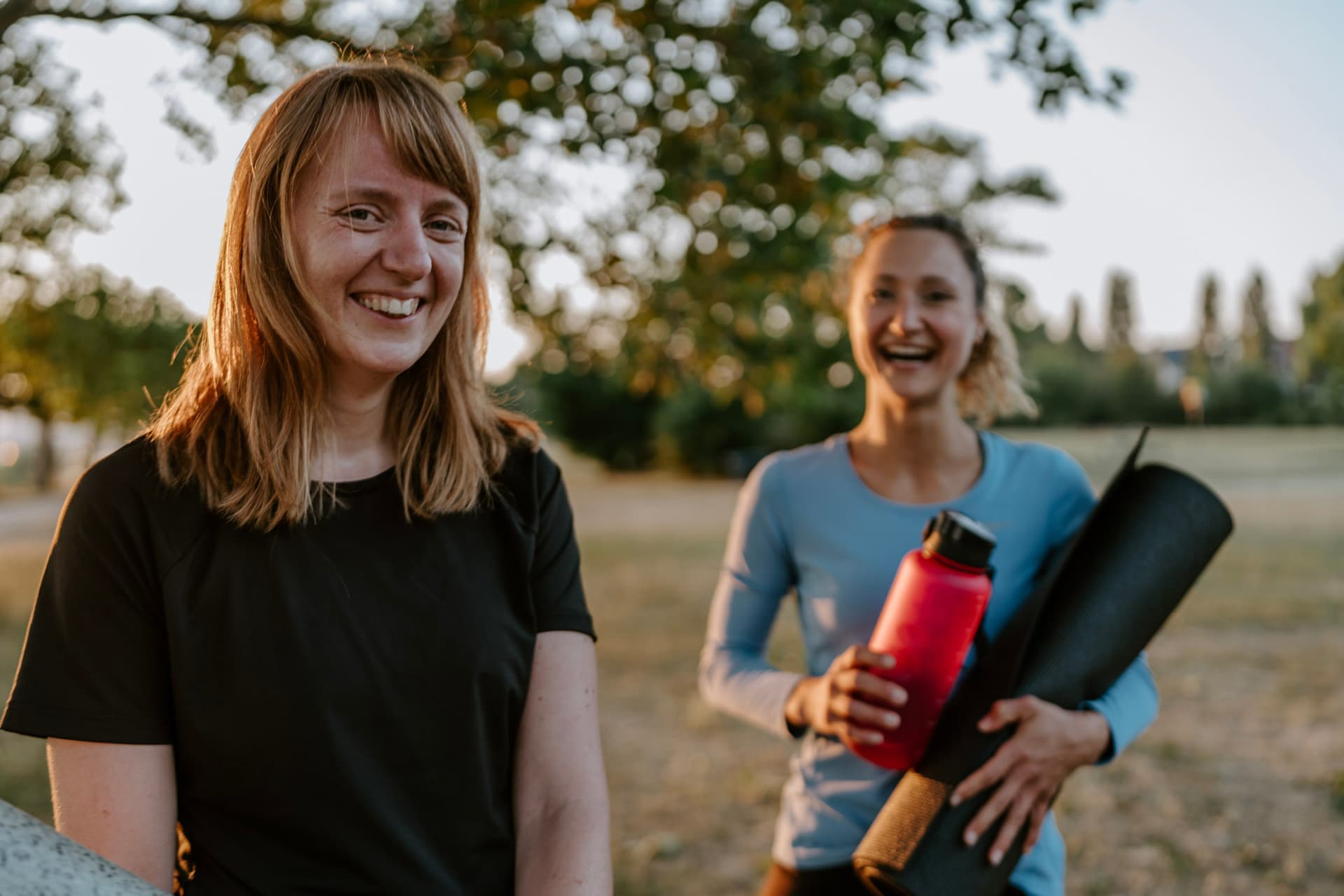 Zwei Booties haben Spaß beim Outdoor Training