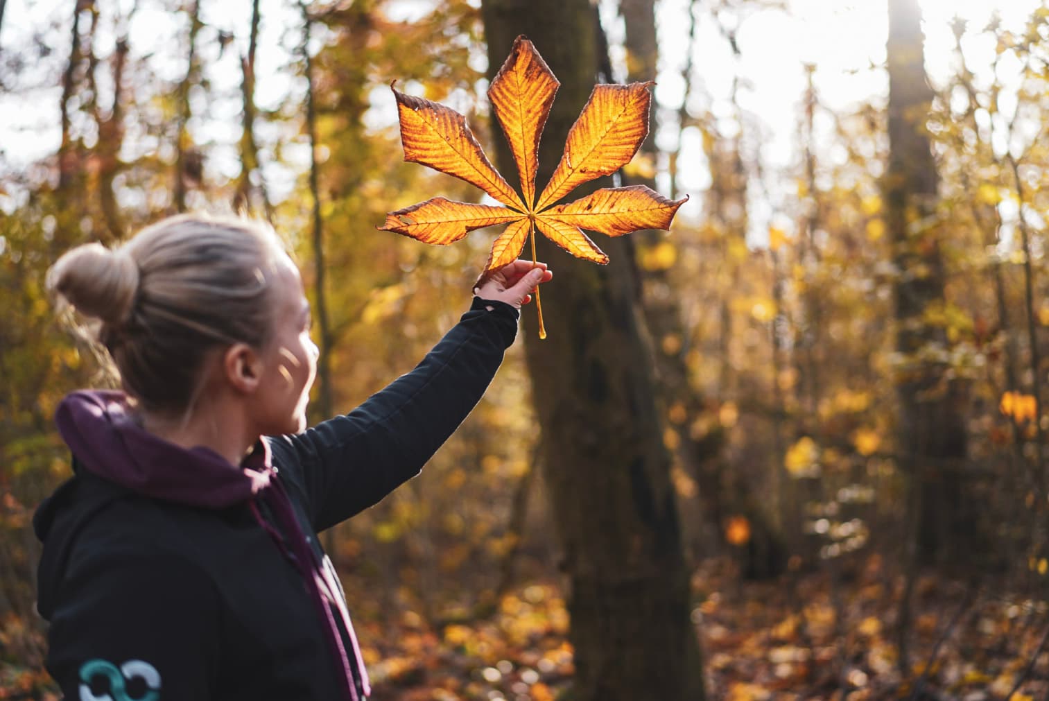 Frau die ein Blatt in die Sonne hält beim Outdoor Fitness